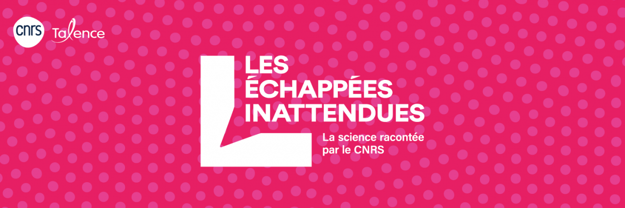 les échappés inattendues en blanc sur fond rose